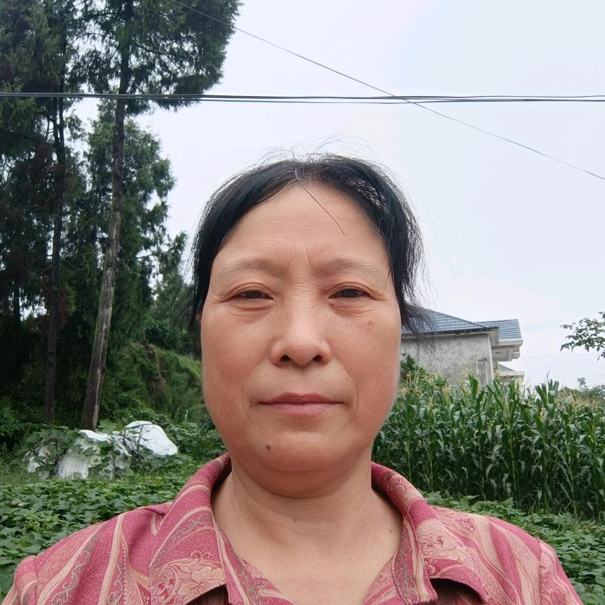 张姐