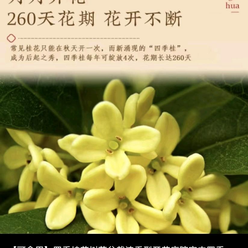拔剑无情