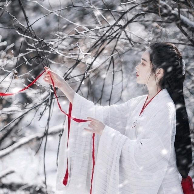 一身傲骨怎能输
