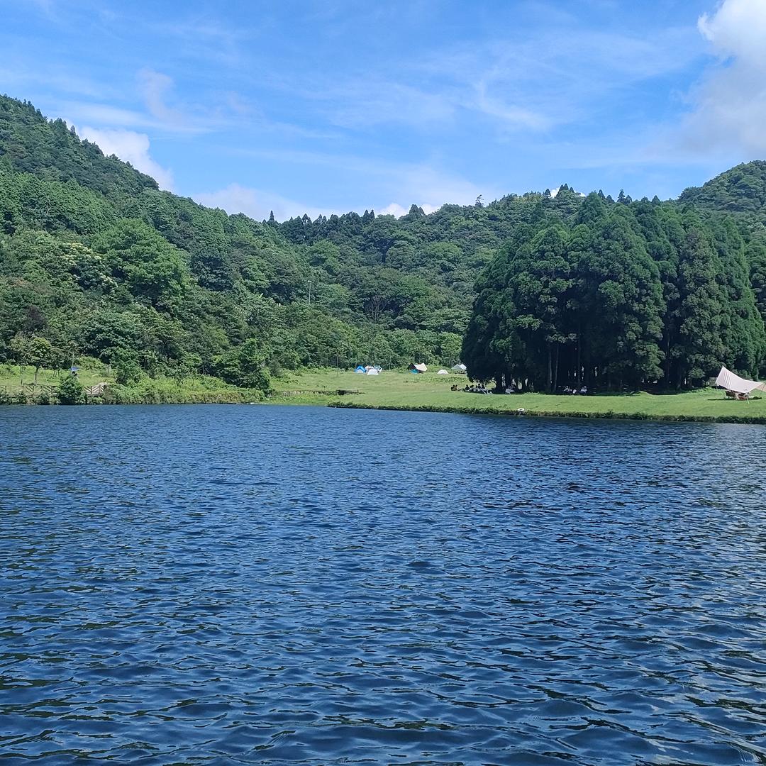 向着阳光