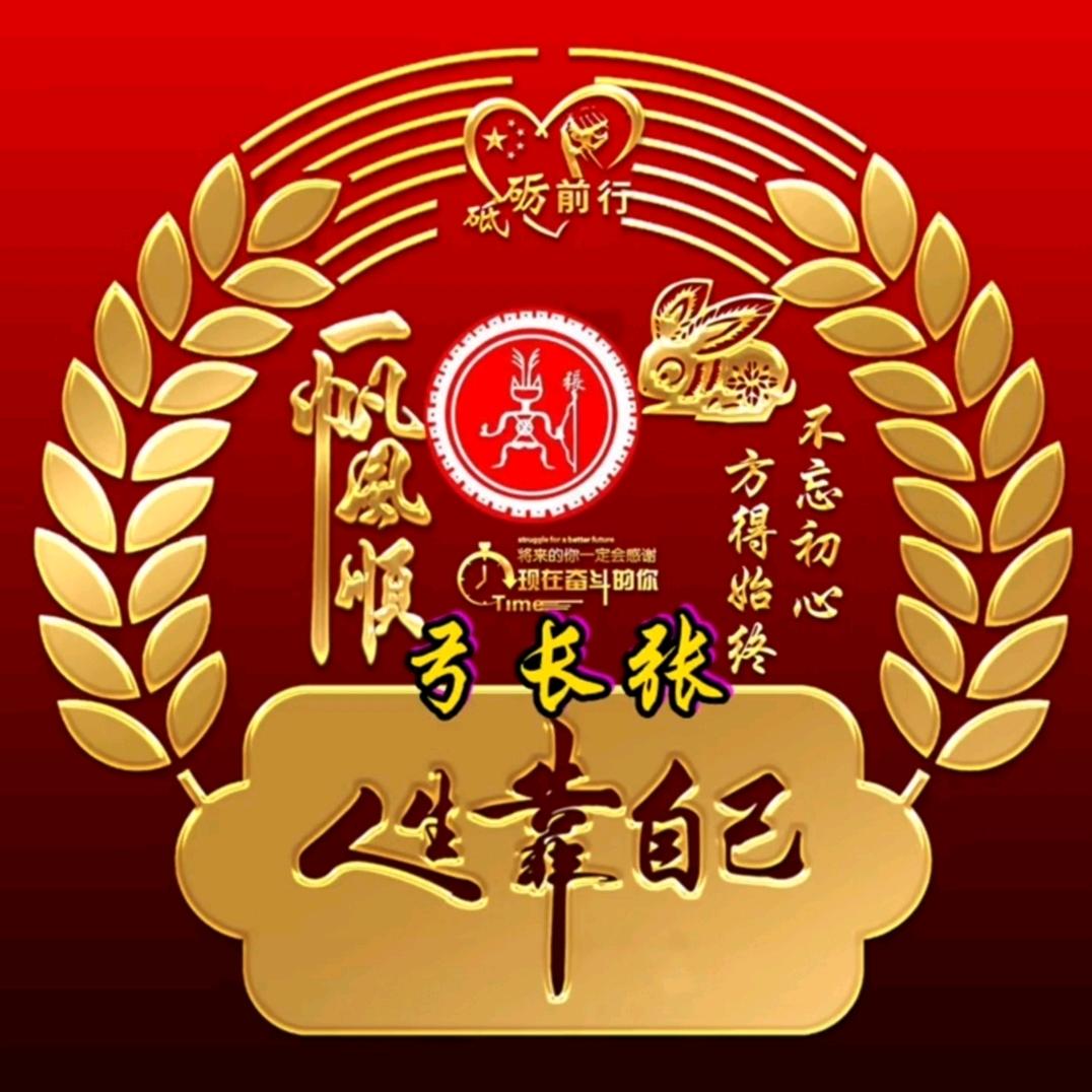 每天不定时更新