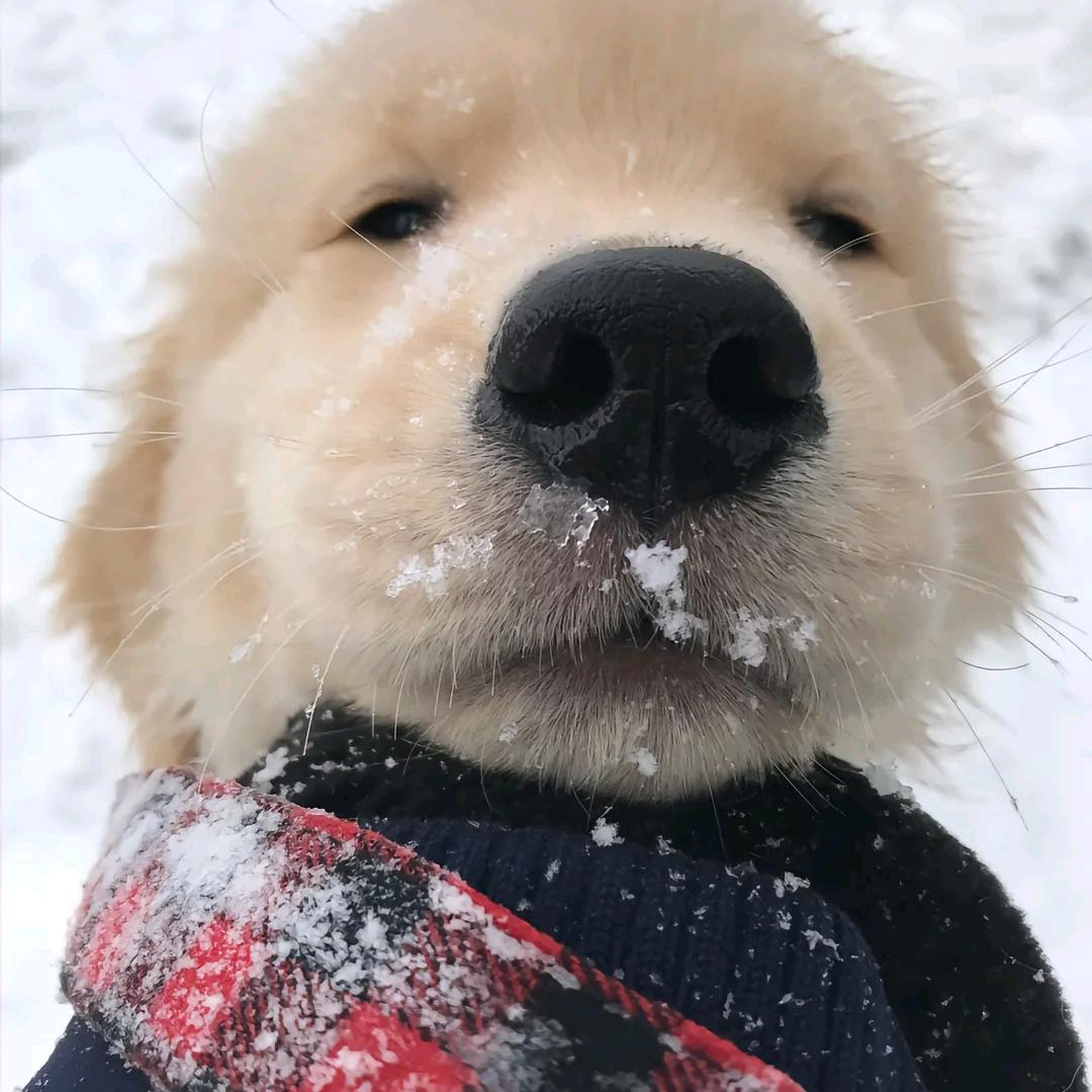 龙卷风摧毁停车场，