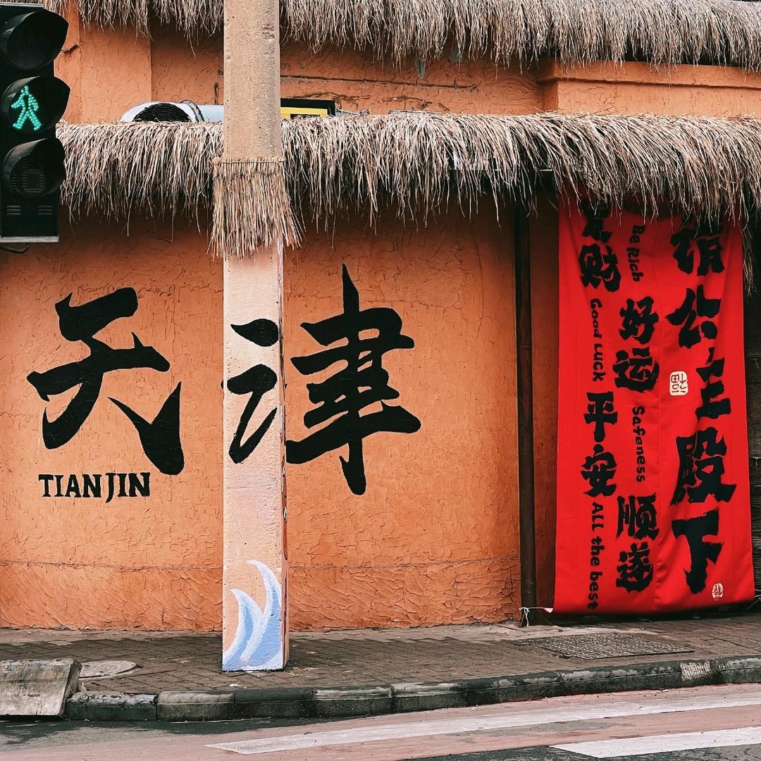 我们不用冻存的