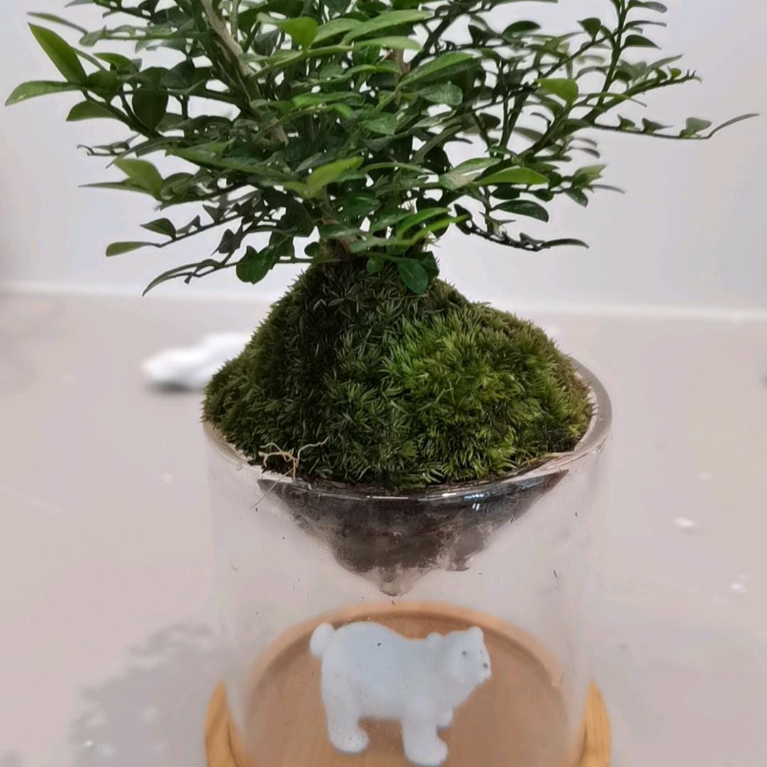 用户374340彭聊天直播好好爱自己