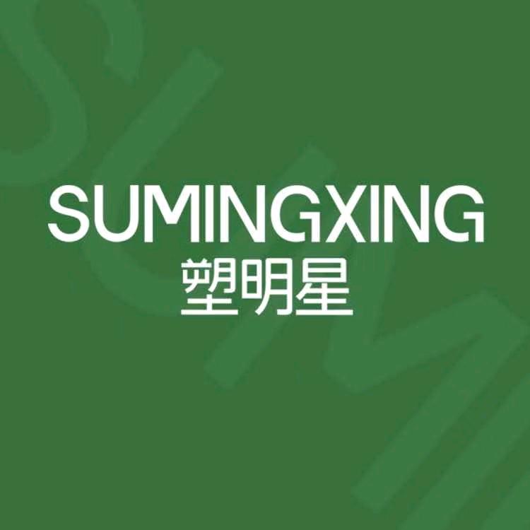 塑明星·旺九儿