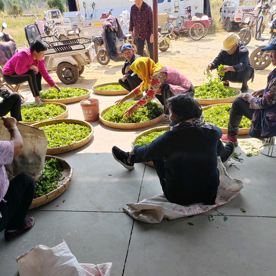 有犇头生态茶叶(莒县店)