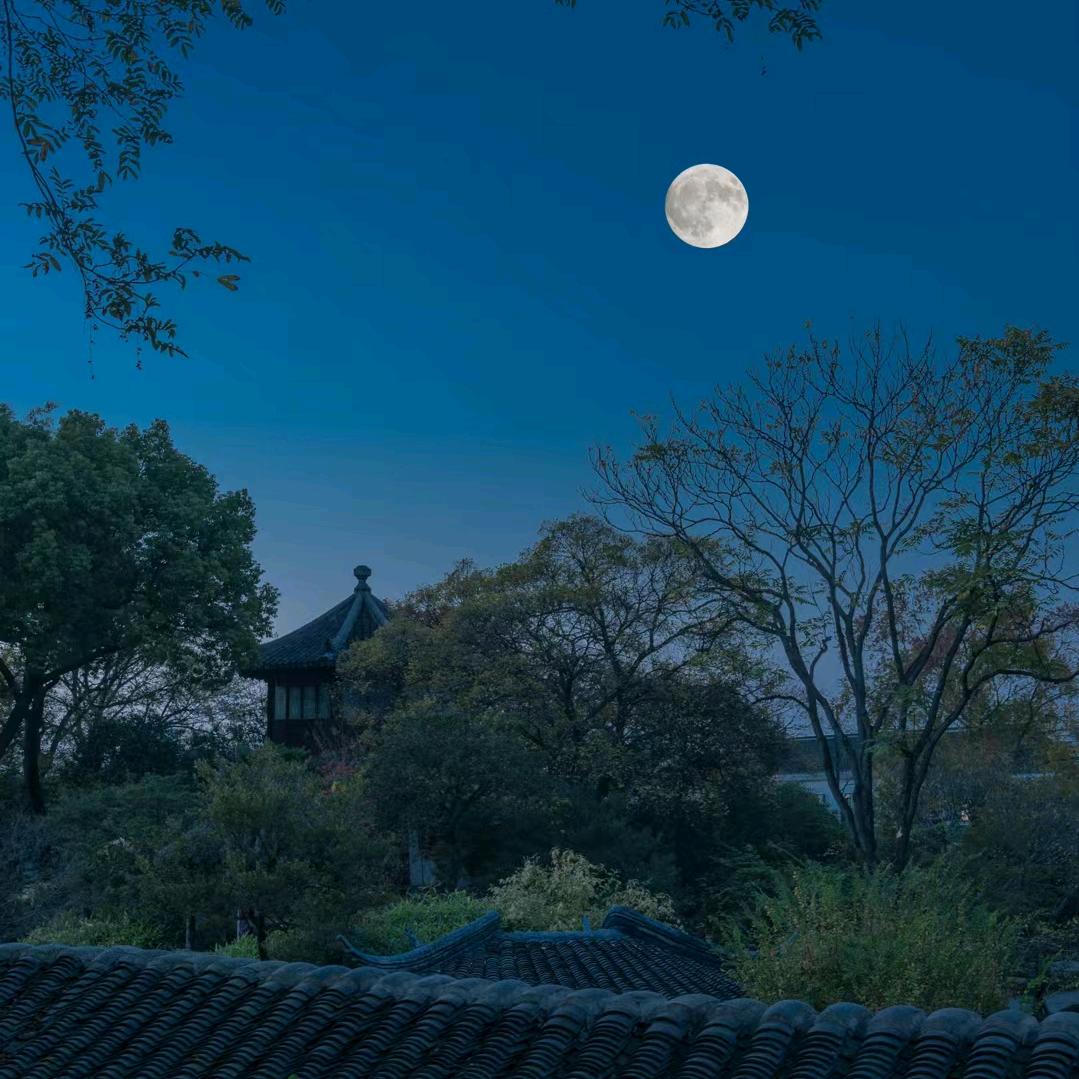 天启优选百货