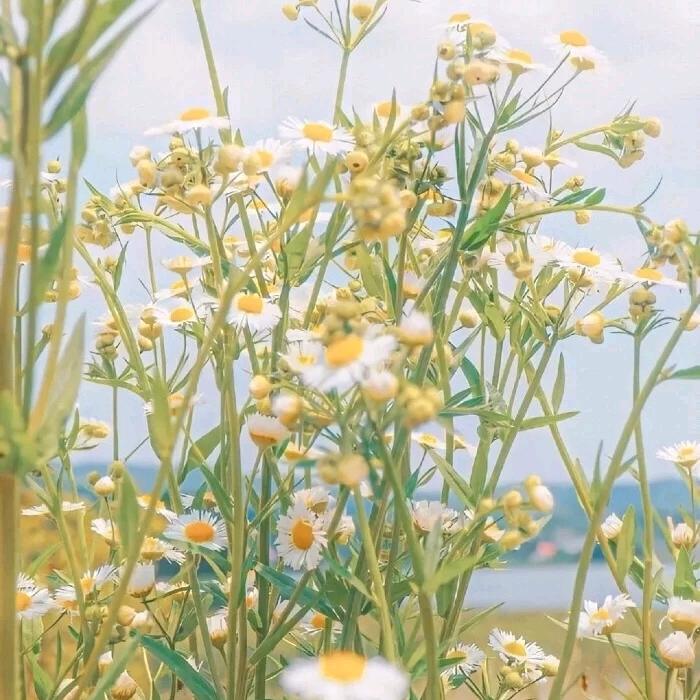 吃可爱多长大的乖宝