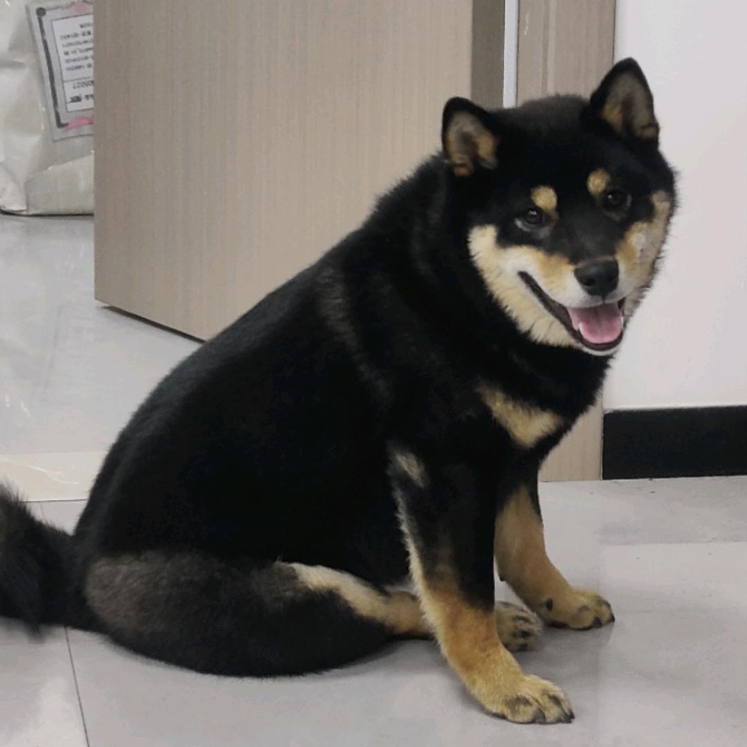 🚀新程助考林哥(职测带飞版)