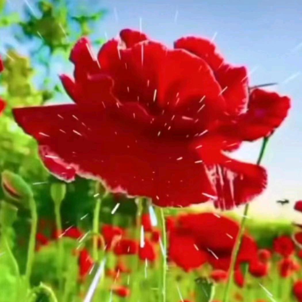 人生如梦❤️❤️