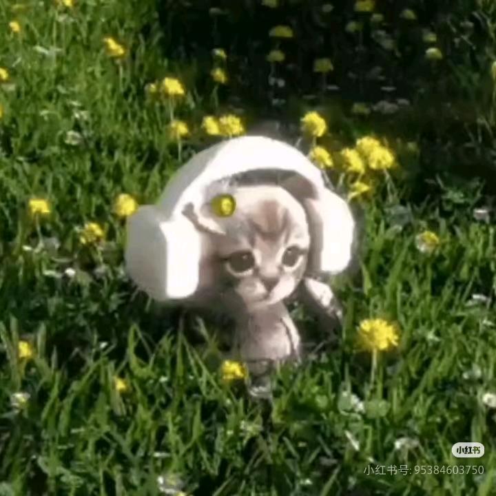 𝙄𝘿很自由.昀