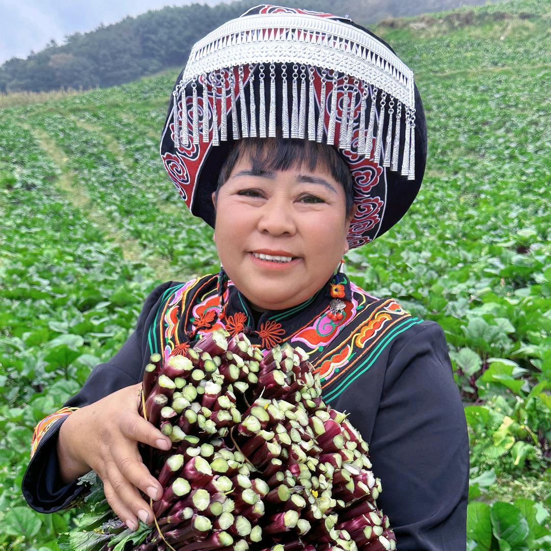 阿姐红菜苔