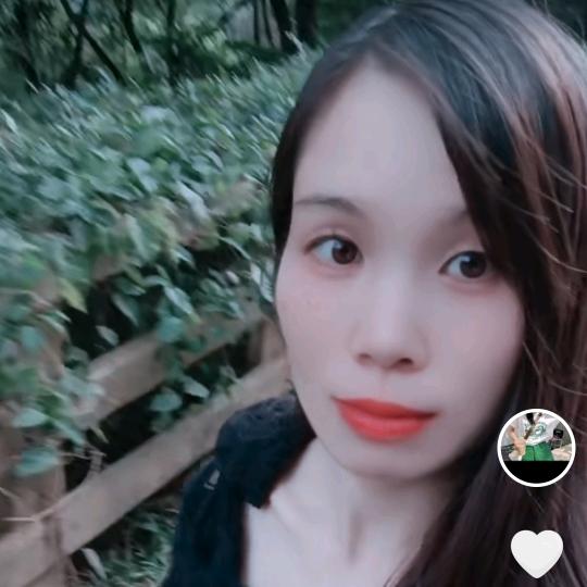 广东梅纸