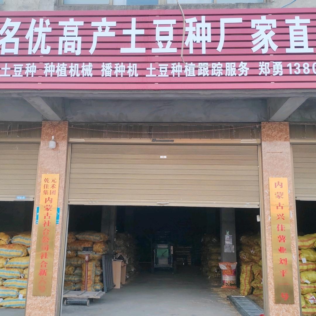 河南土豆种郑勇