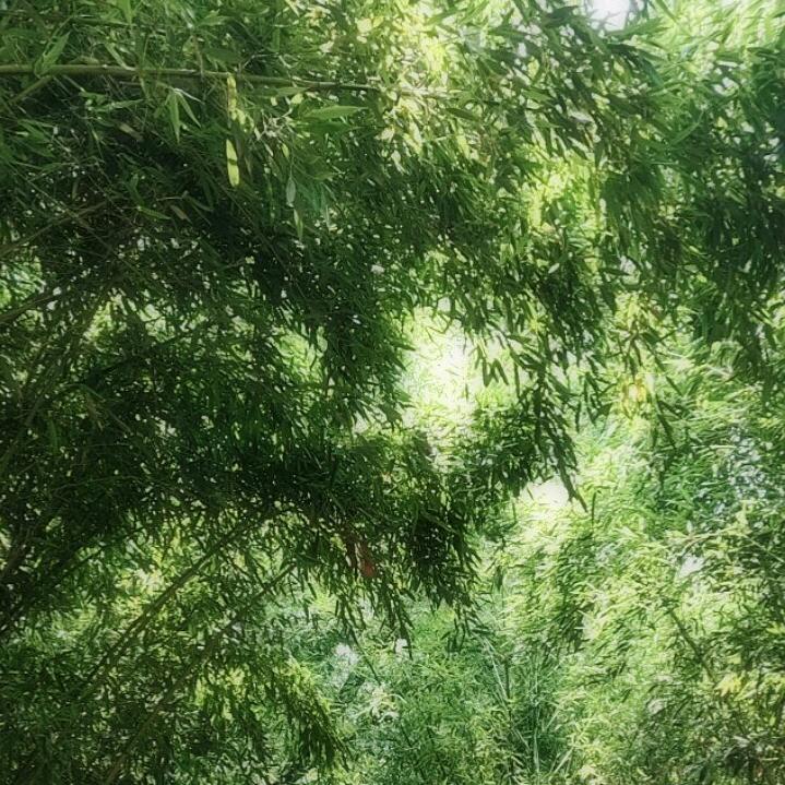 知足常乐