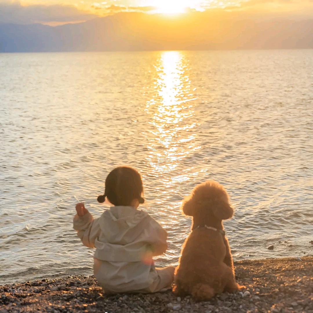 走过路过别错过