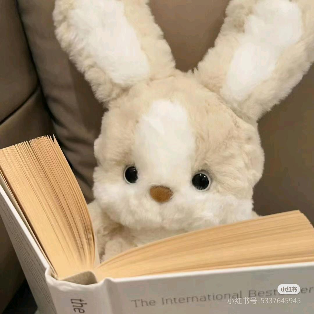 哆啦C梦的百宝箱