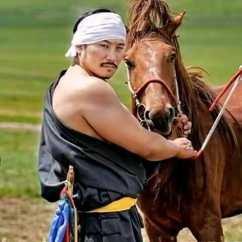 爱看那达慕直播的小猫咪