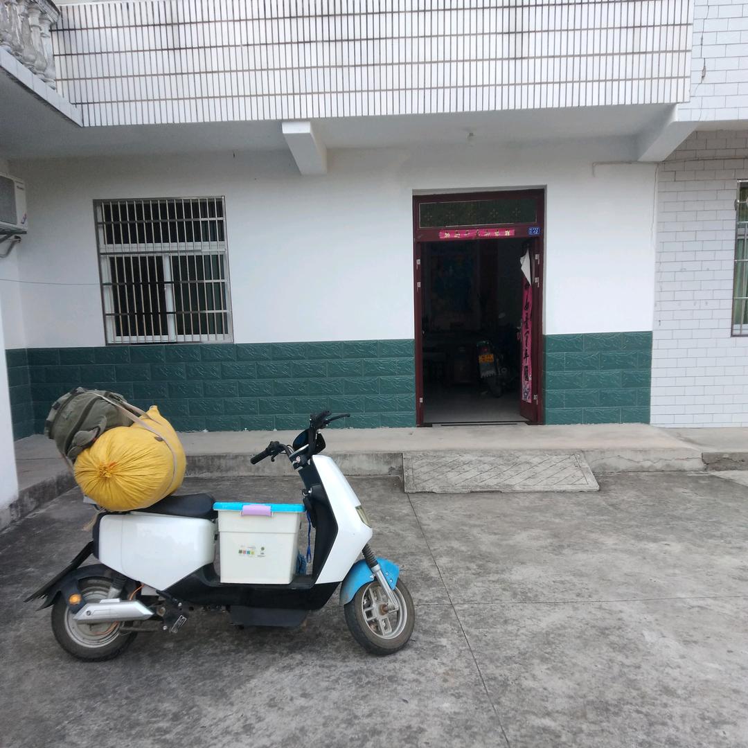 百草聚集