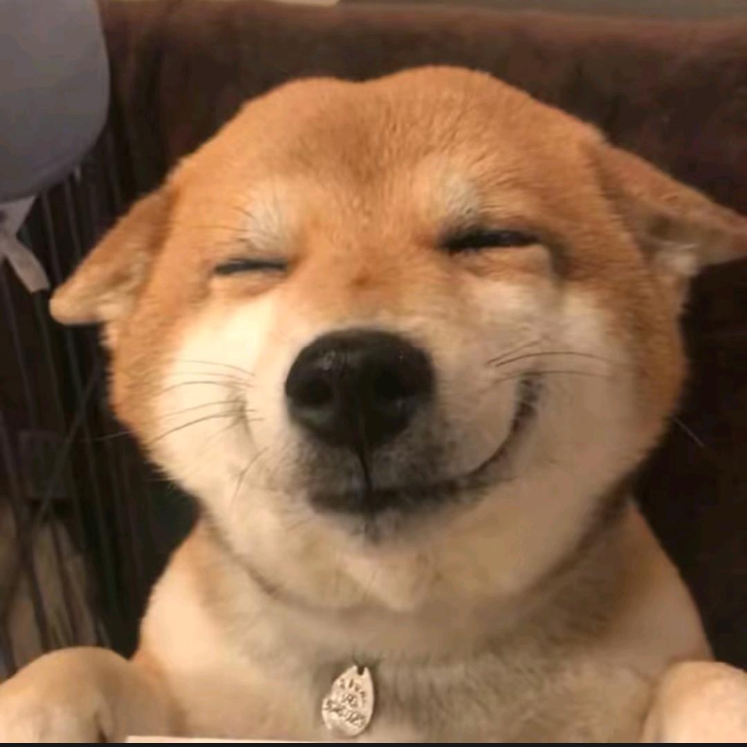 小波掏出来比一下