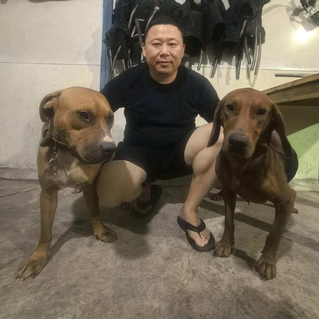 战犬护农队🐗🌾王益刀