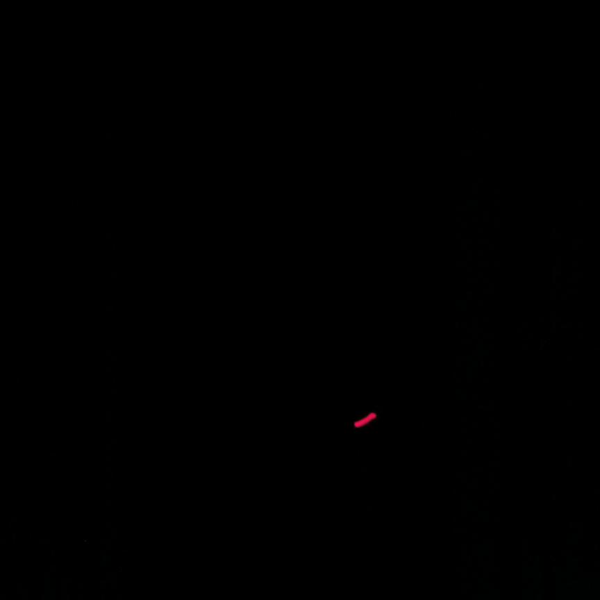 小郑ggggvvggvvbgvggv