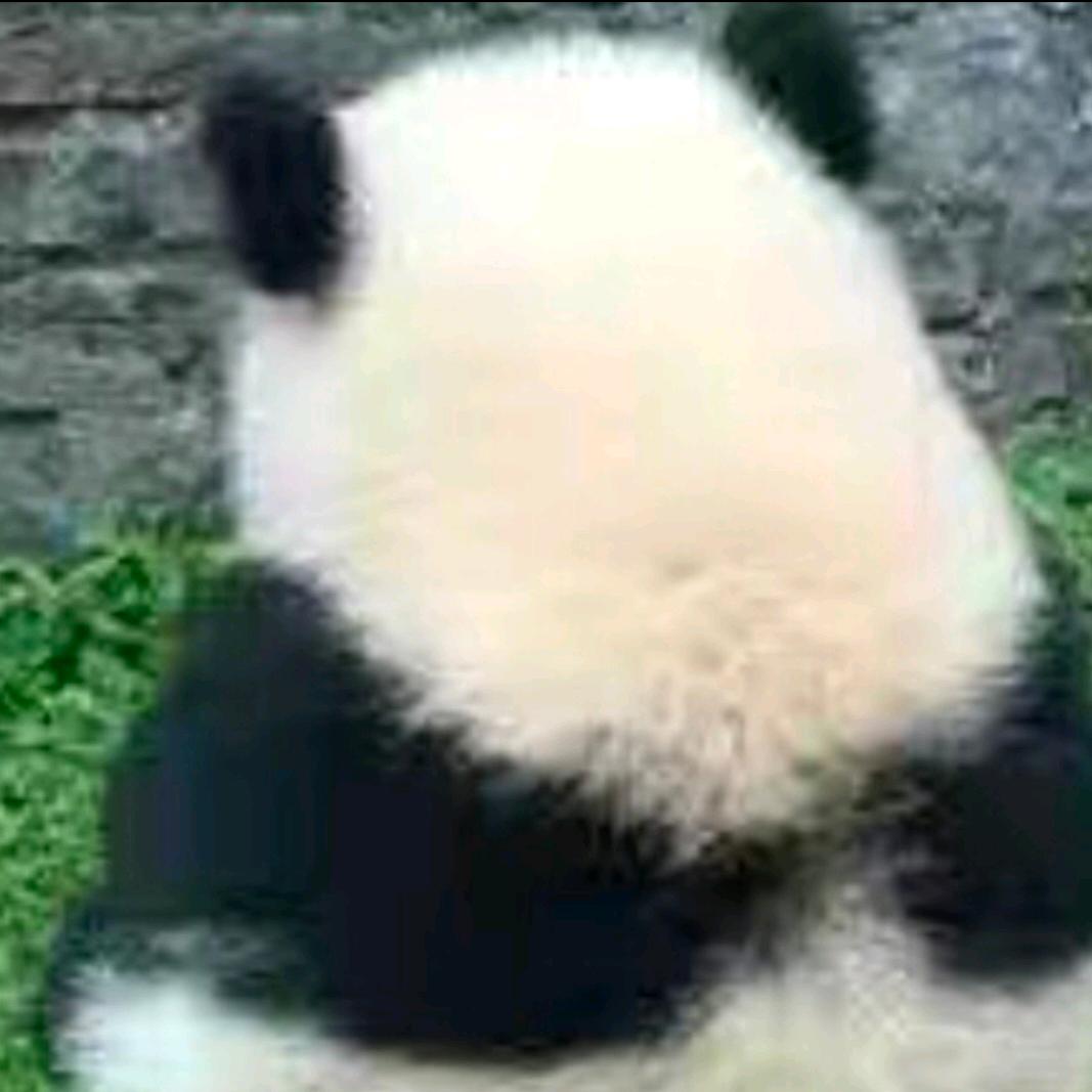 扎心了，铁子