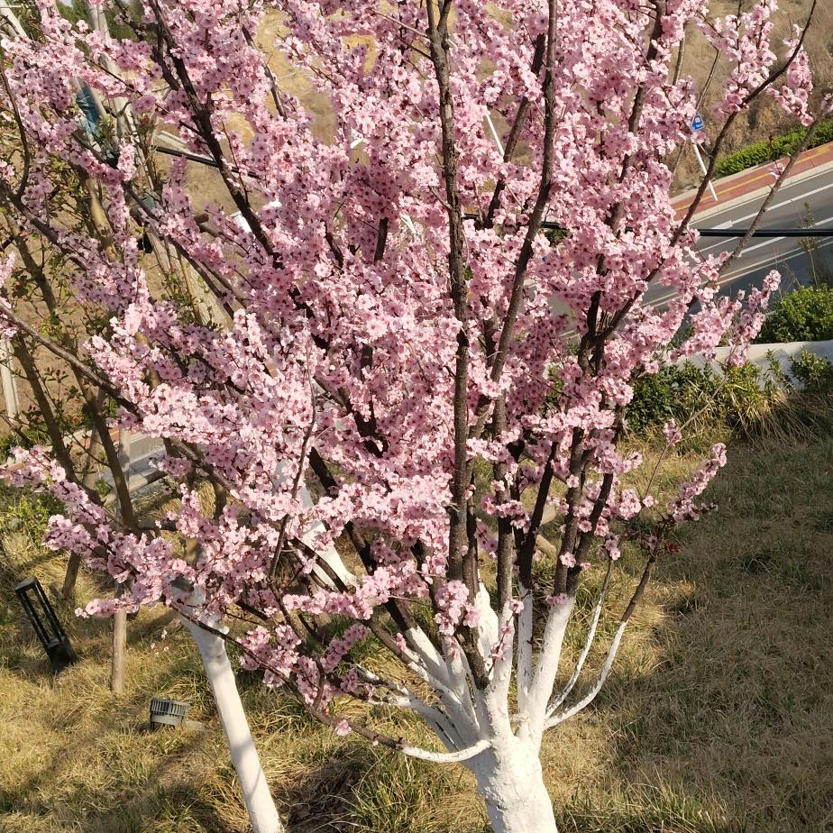 街溜子