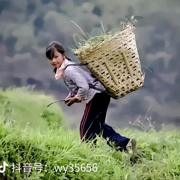 二）姐