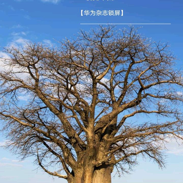 0，我就此诞生