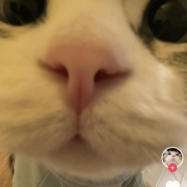 翻斗花园陈丽丽