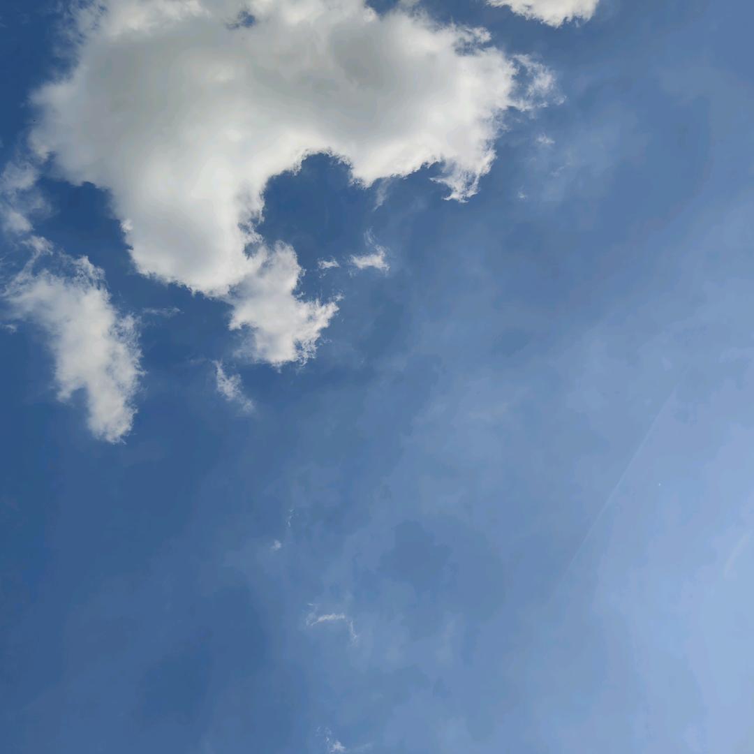 满山的猴子🐒我腚最红