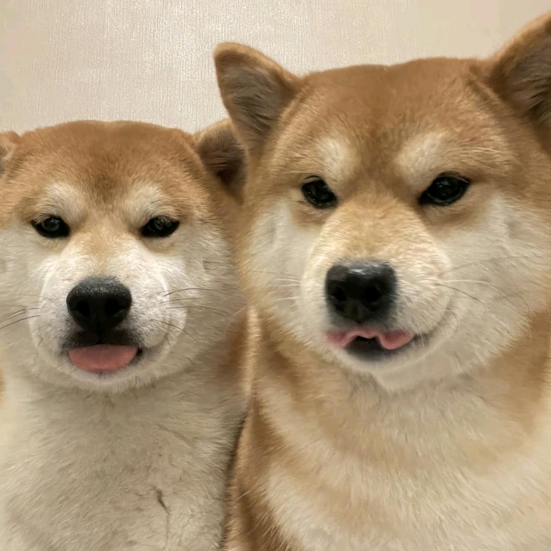 ⚆ _ ⚆