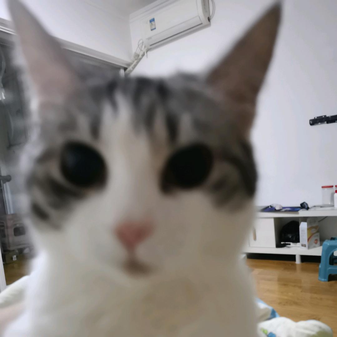 雨夜带刀不带伞