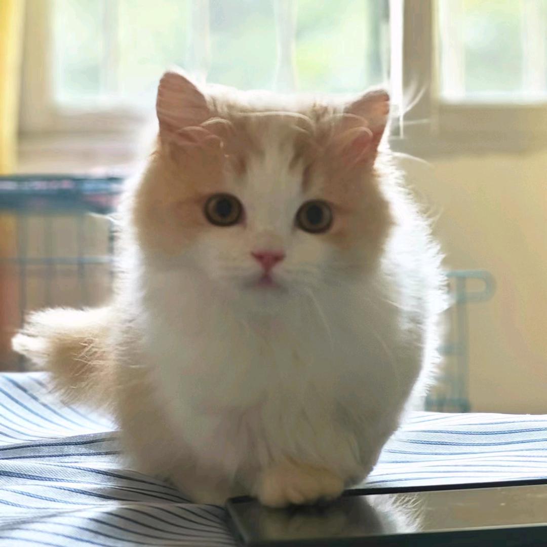 🌈我也会变成光🌈