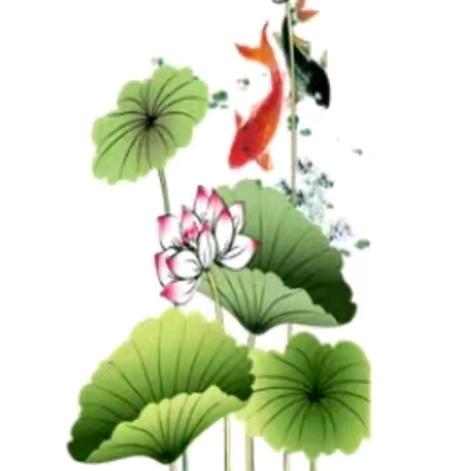 禅悟人生