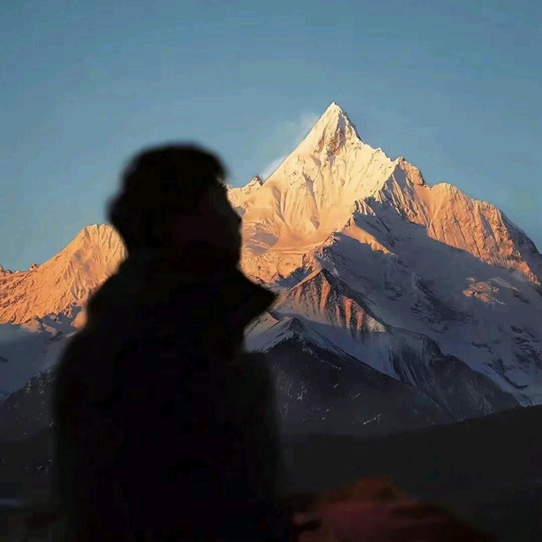 ♡̶树上有只熊ˡᵃ