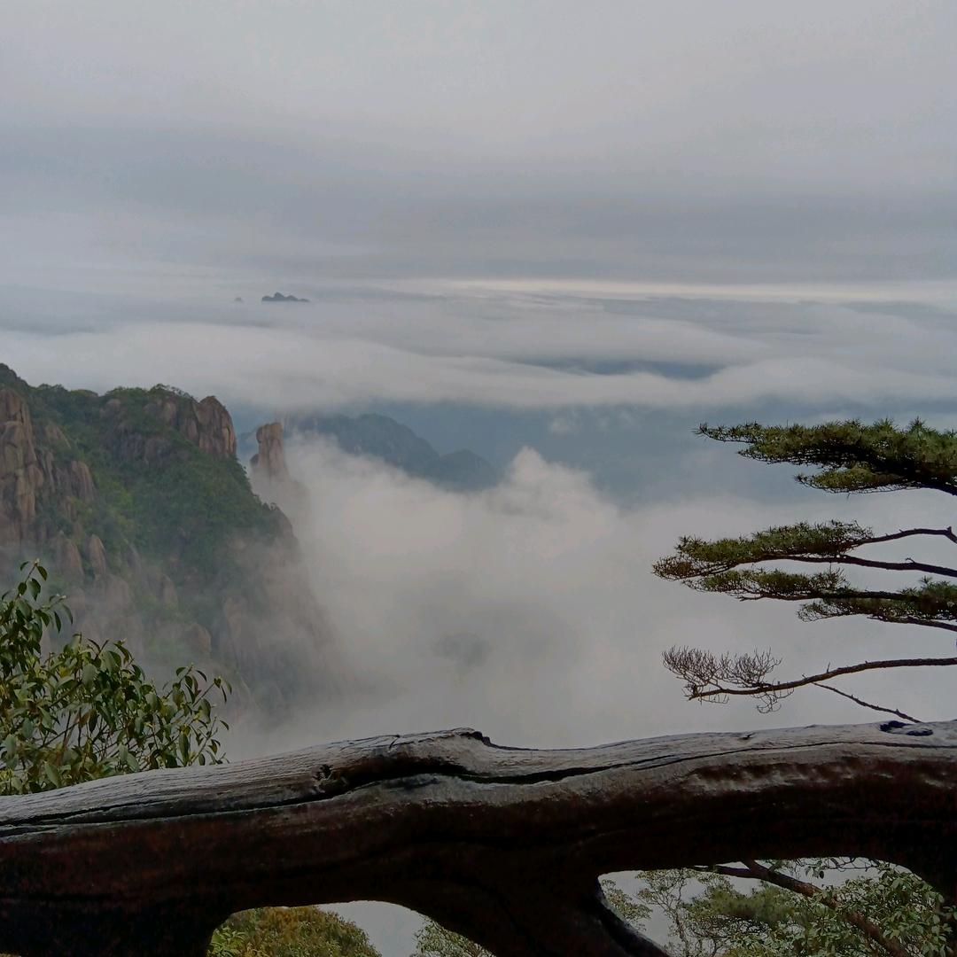 ✨疯丫头幸运女神☀️