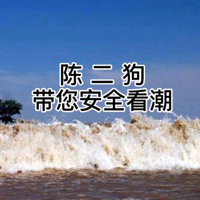 钱塘江陈二狗
