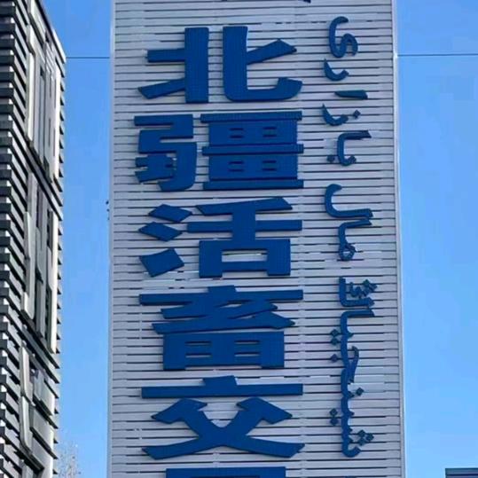 北屯市牛羊交易市场 …