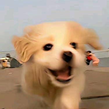 内存条