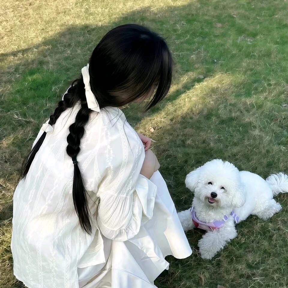 🍥芋泥卷❅·°