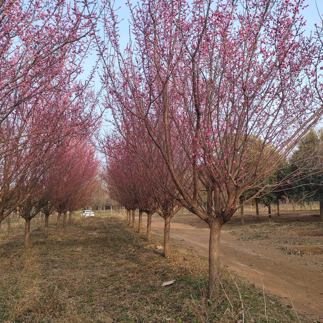 流氓家的嚣张⛅¹º²⁴