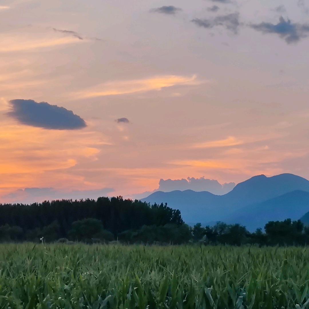 大阳山