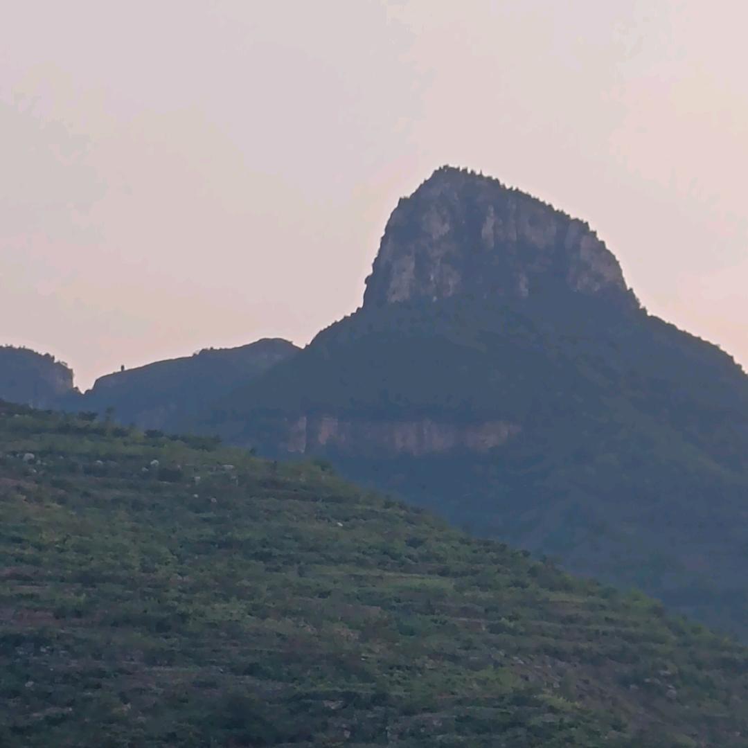 全网蔬菜辣椒市场