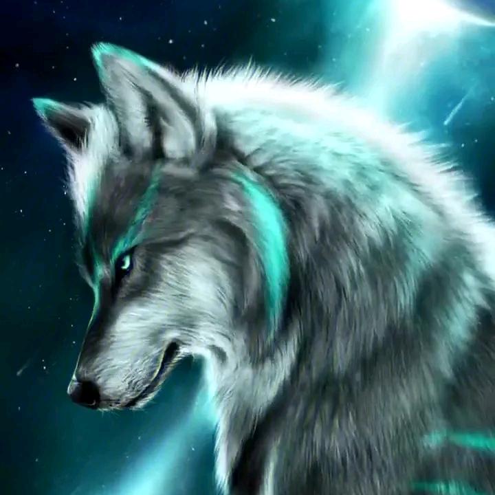 @金诚输送机制造