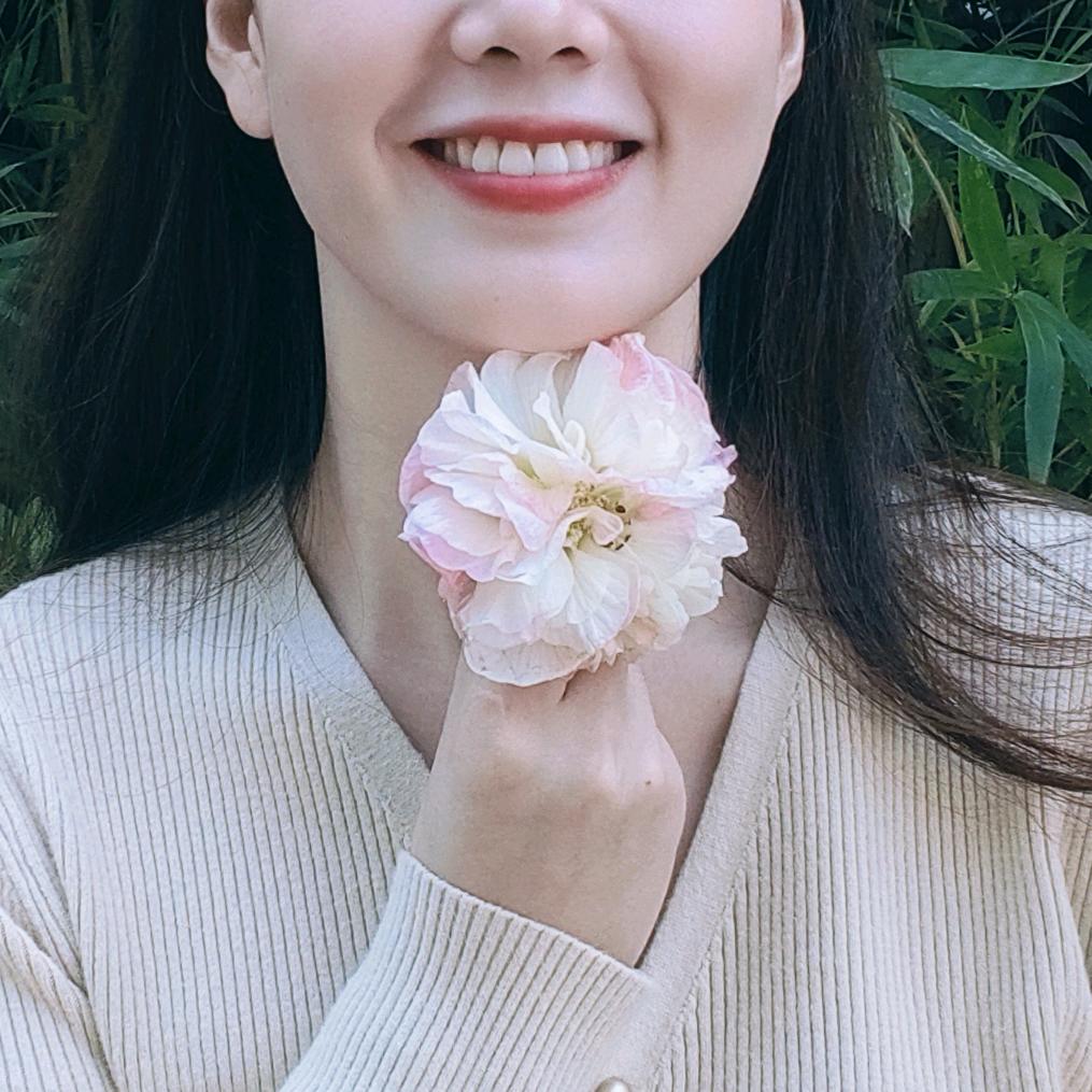 洋芋宝