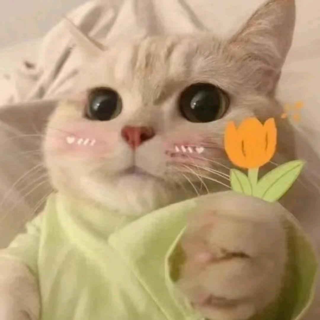meme喵喵小剧场