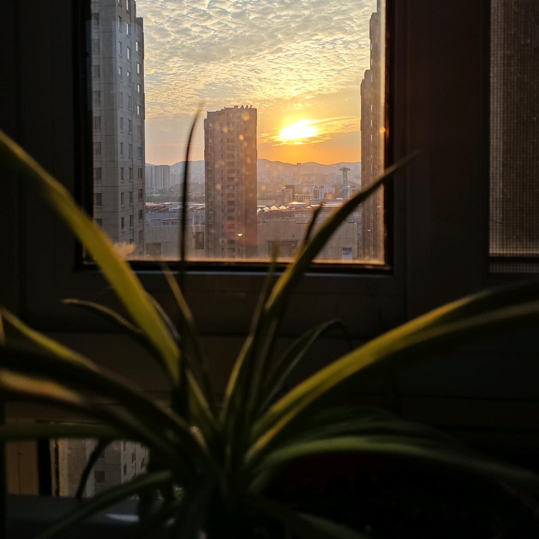 财神爷的心尖尖儿🌵