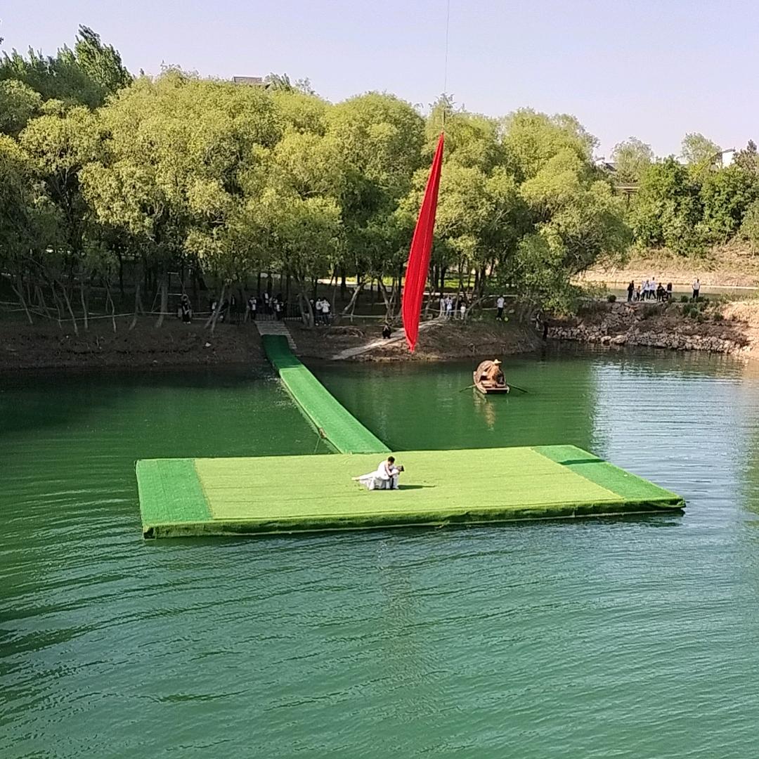 🐤养鸟顾问